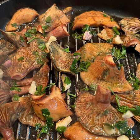 몽블랑 La Terrasseta 아파트 외부 사진