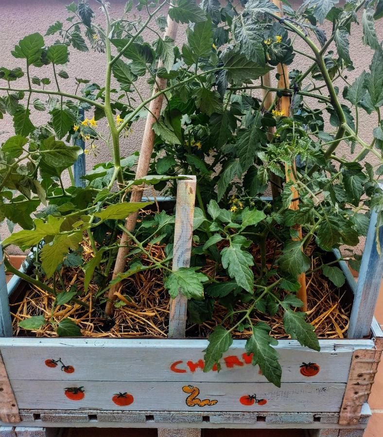 몽블랑 La Terrasseta 아파트 외부 사진