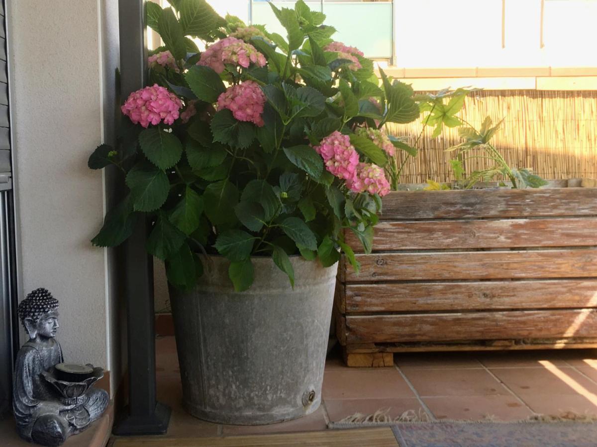 몽블랑 La Terrasseta 아파트 외부 사진